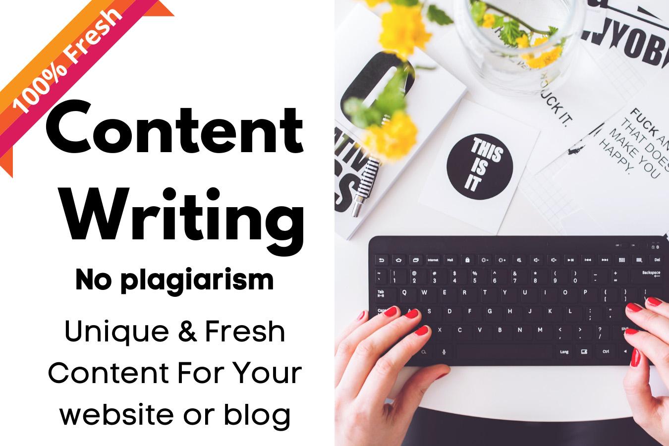 create high quality content writing for website,blog only