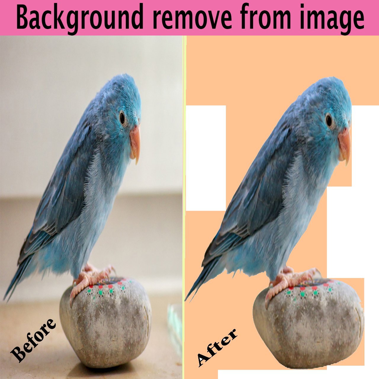 Provide background remove from images