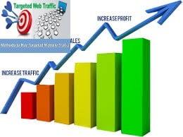 deliver 10000 + USA Real Web Traffic For your WEB site