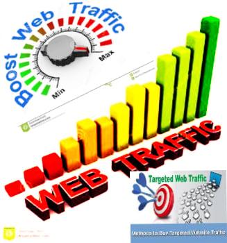 deliver 25000+ USA Real Web Traffic For your WEB site