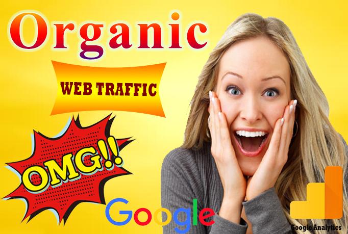 I will bring USA target daily unique visitors to your website