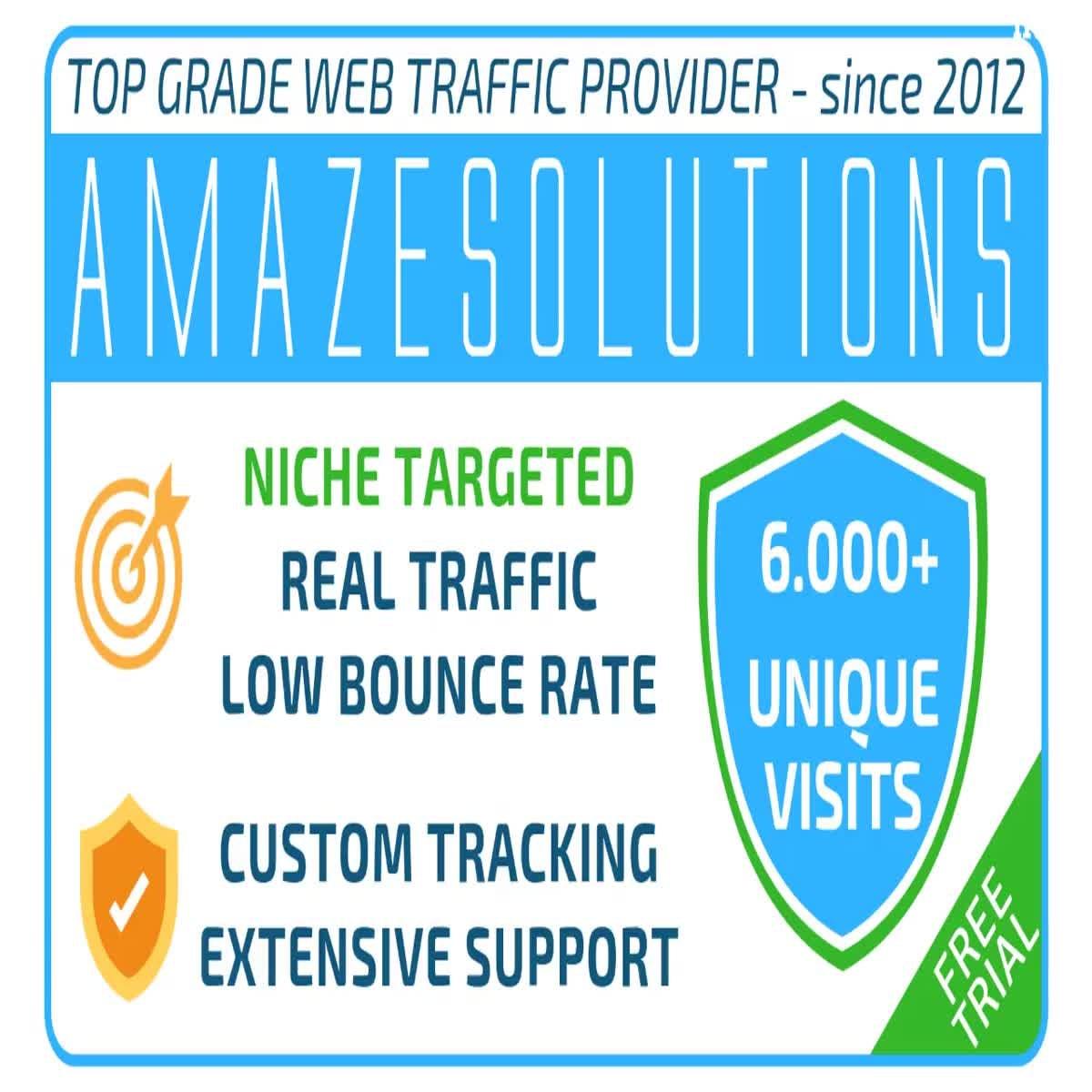 I will bring real visitors, targeted USA web traffic, 24h activation