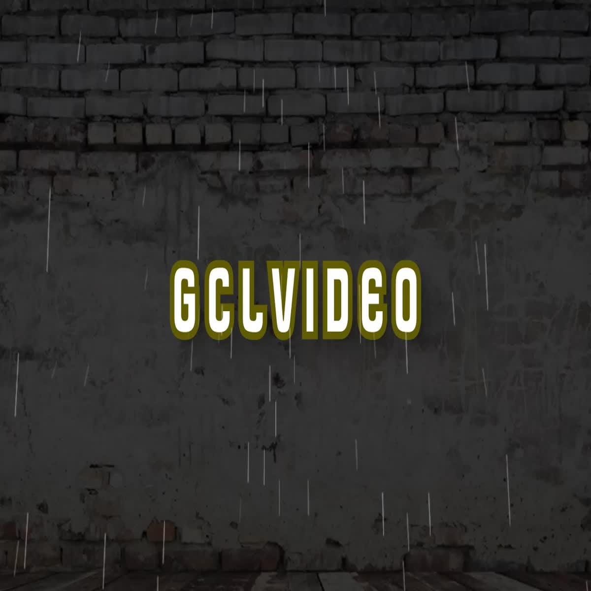 video edit logo animation for your job