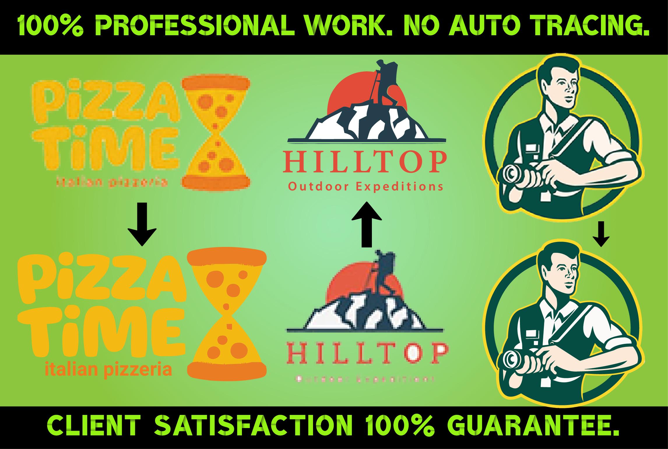 I will Convert Raster Logo, Image in Vector File High Resolution