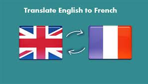 We will do a professional translation from English to French of Articles,documents and PDF files