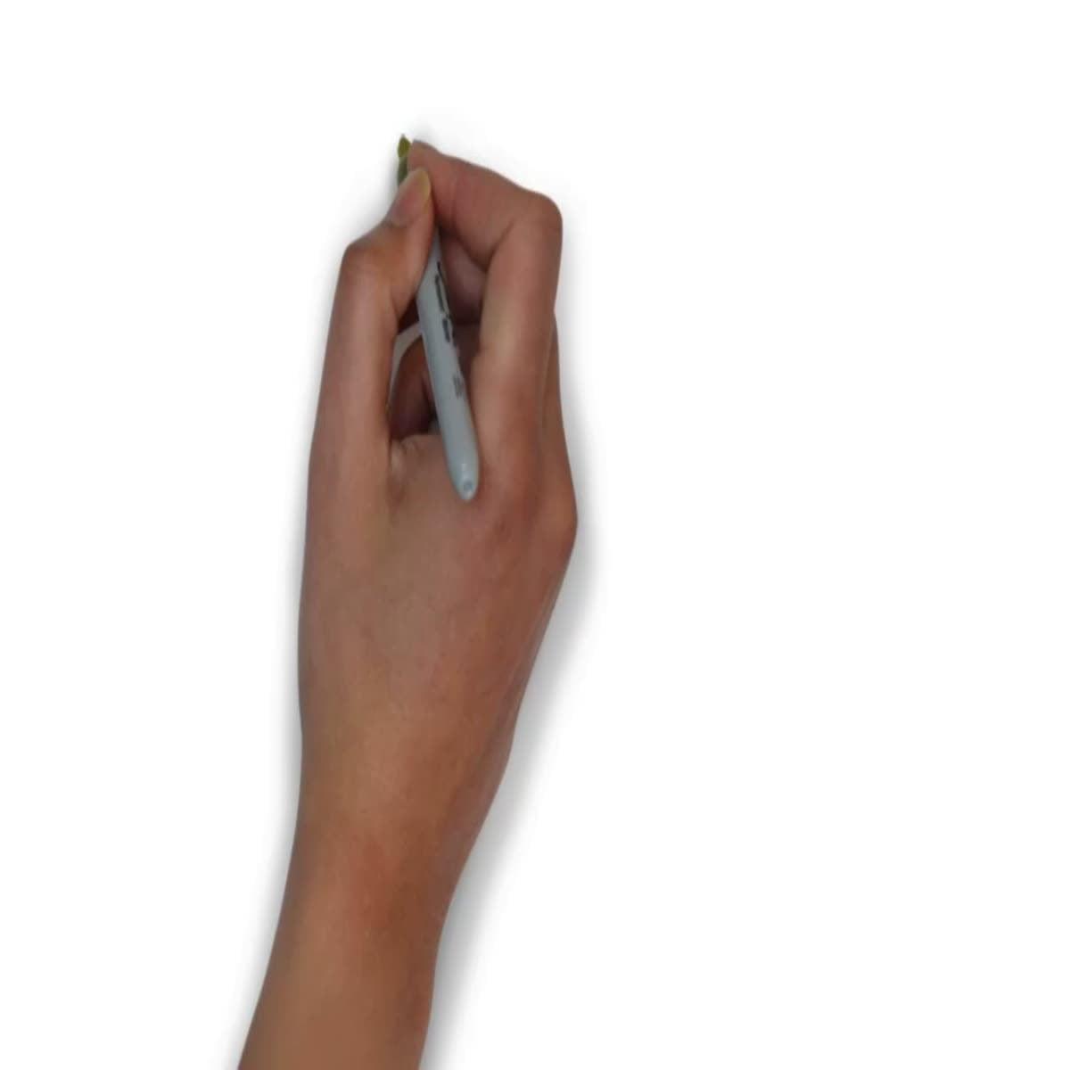 I will create an animated whiteboard animation video