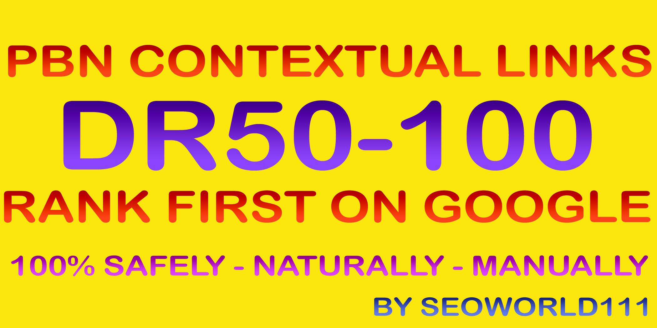 Dofollow 18 Web 2.0 PBN Contextual Links DR50-100 - Rank First On Google