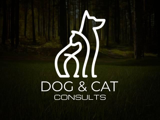 I will do minimalist logo design