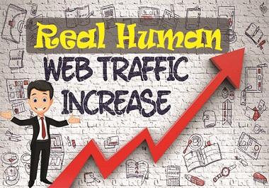 I will drive real human traffic for your website