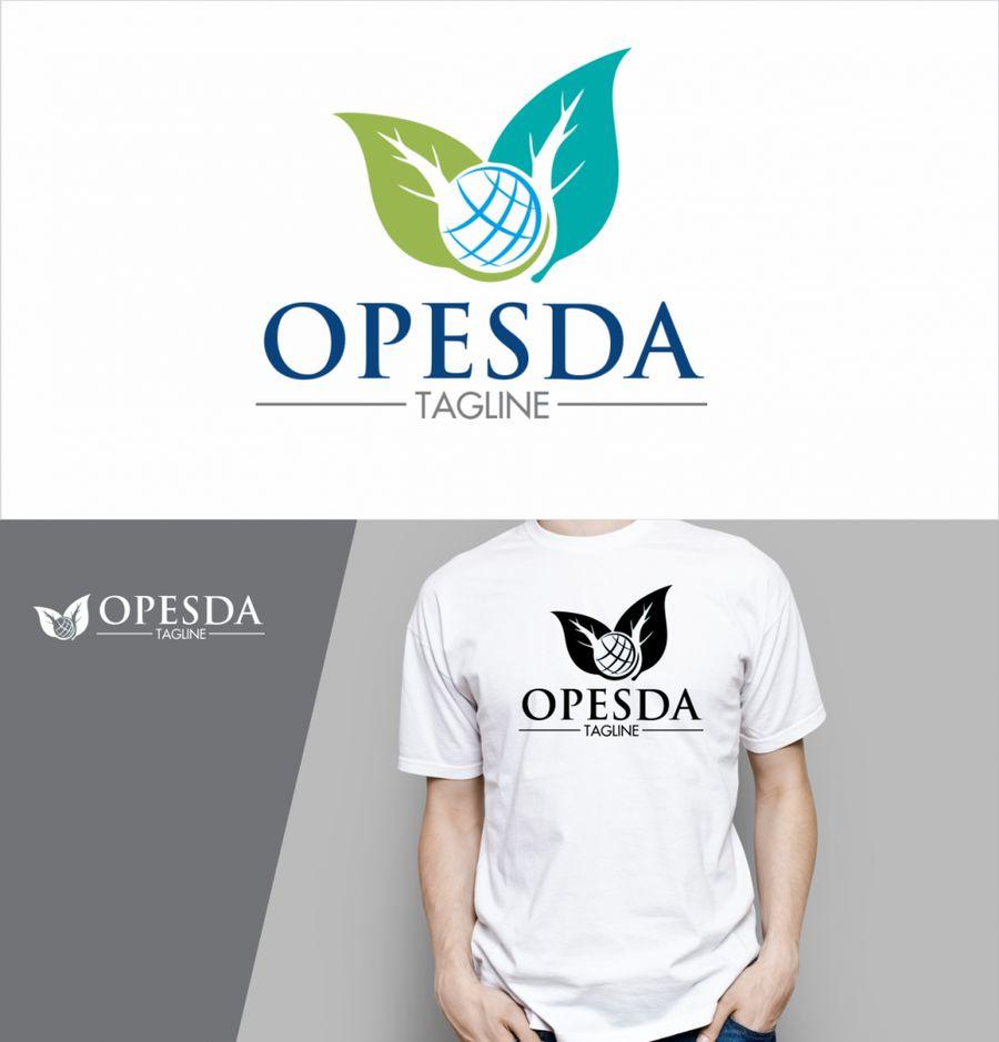 I will design or redesign your logo