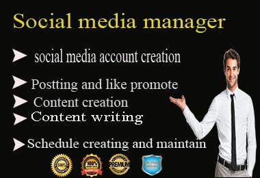 I will be your online Social media manager and content creator 