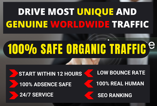 I can Drive Real Human Web Traffic for your website 