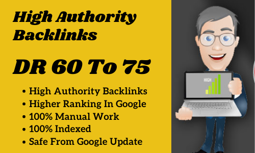 Build 20 High Authority DR 60 to 75 Homepage SEO Dofollow PBN Backlinks