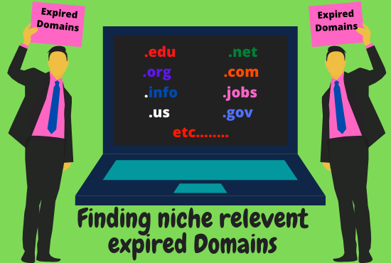 I will find high authority expired domain