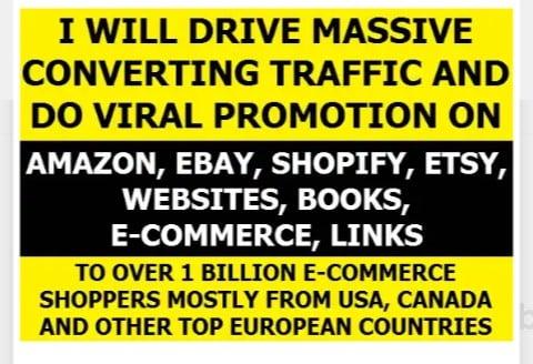 I will drive real human traffic with proof to ecommerce,website promotion for $1
