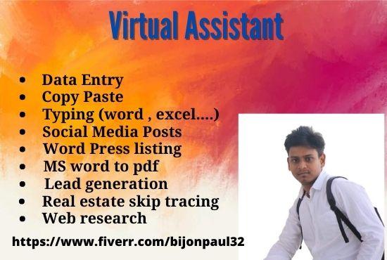 I will be Professional virtual assistant 