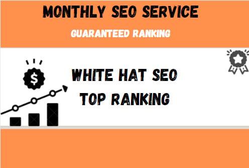 Provide a Complete monthly SEO Service With backlinks For Google Top Ranking