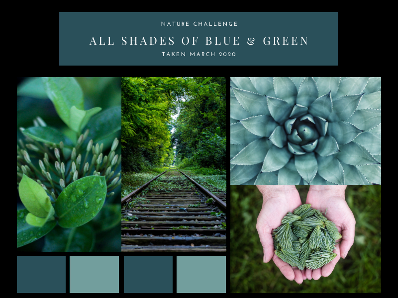 Create facebook post,cover,ads by using canva