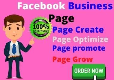 I will create, optimize Facebook business page