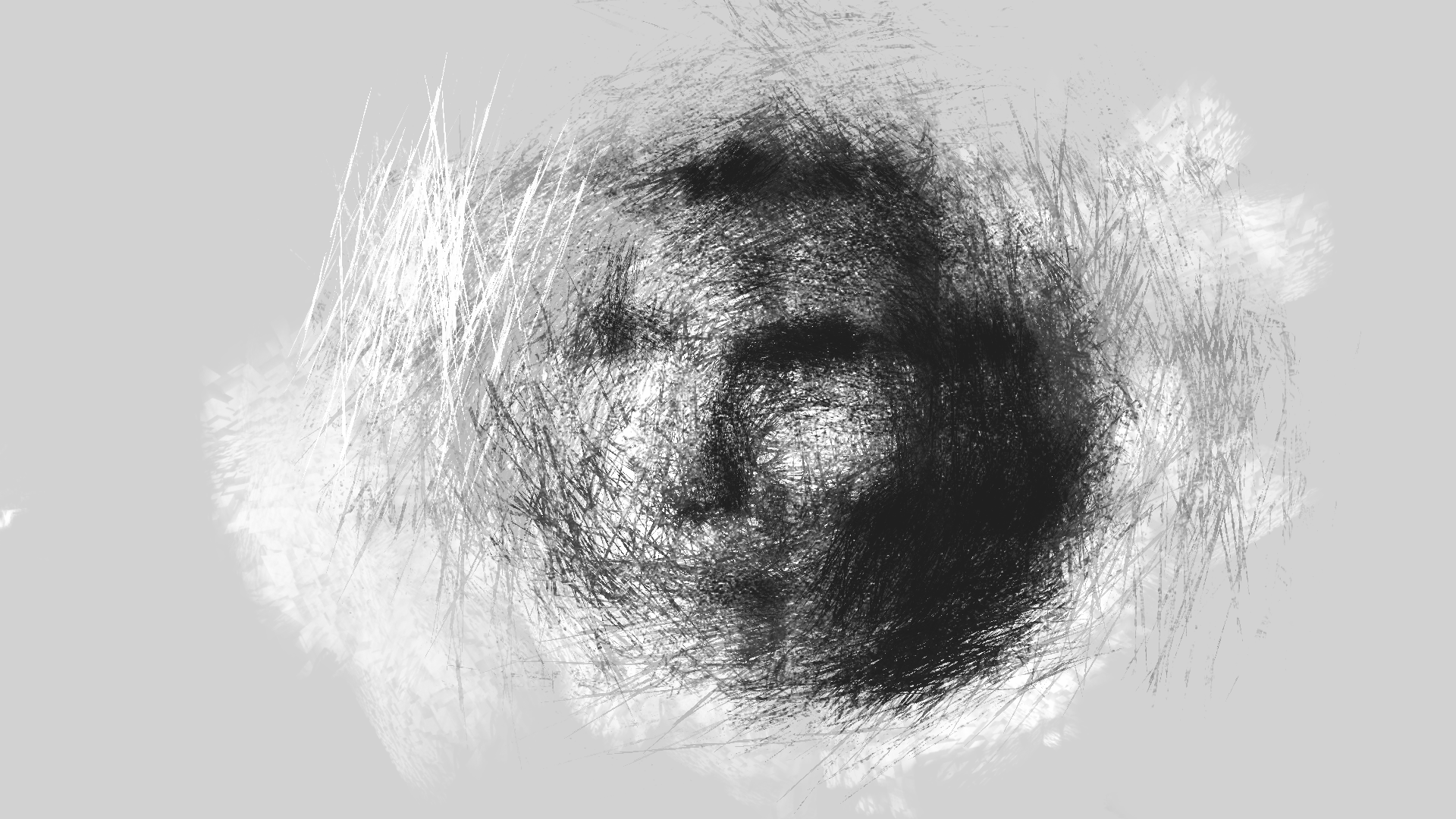 I will draw whatever you say (banners, portrait...)