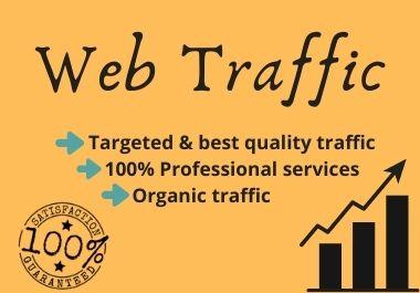 I will drive Keyword Targeted Organic Google Web Traffic to your website.