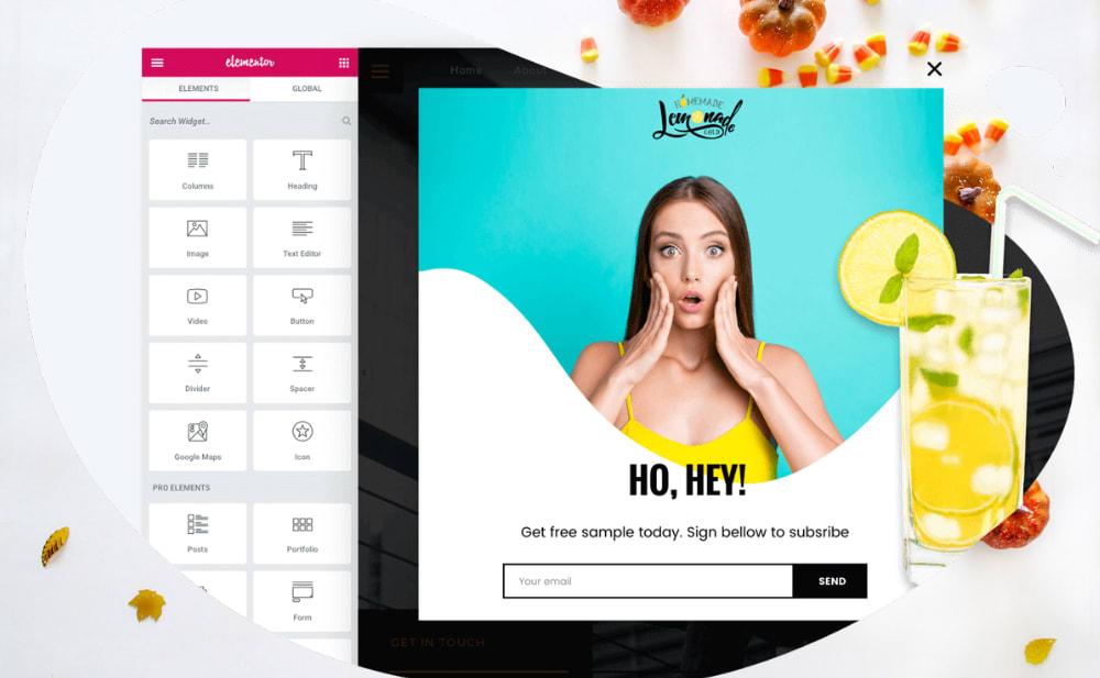 I will use elementor pro to design custom WordPress website