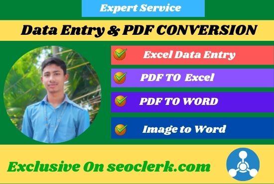 I will do 12hour excel data entry and pdf conversion any format