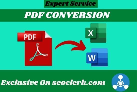 I will do 12hour excel data entry and pdf conversion any format