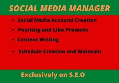 I will create your social media
