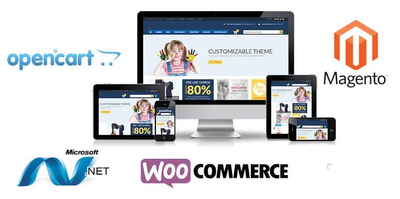 I will build wordpress ecommerce website online store