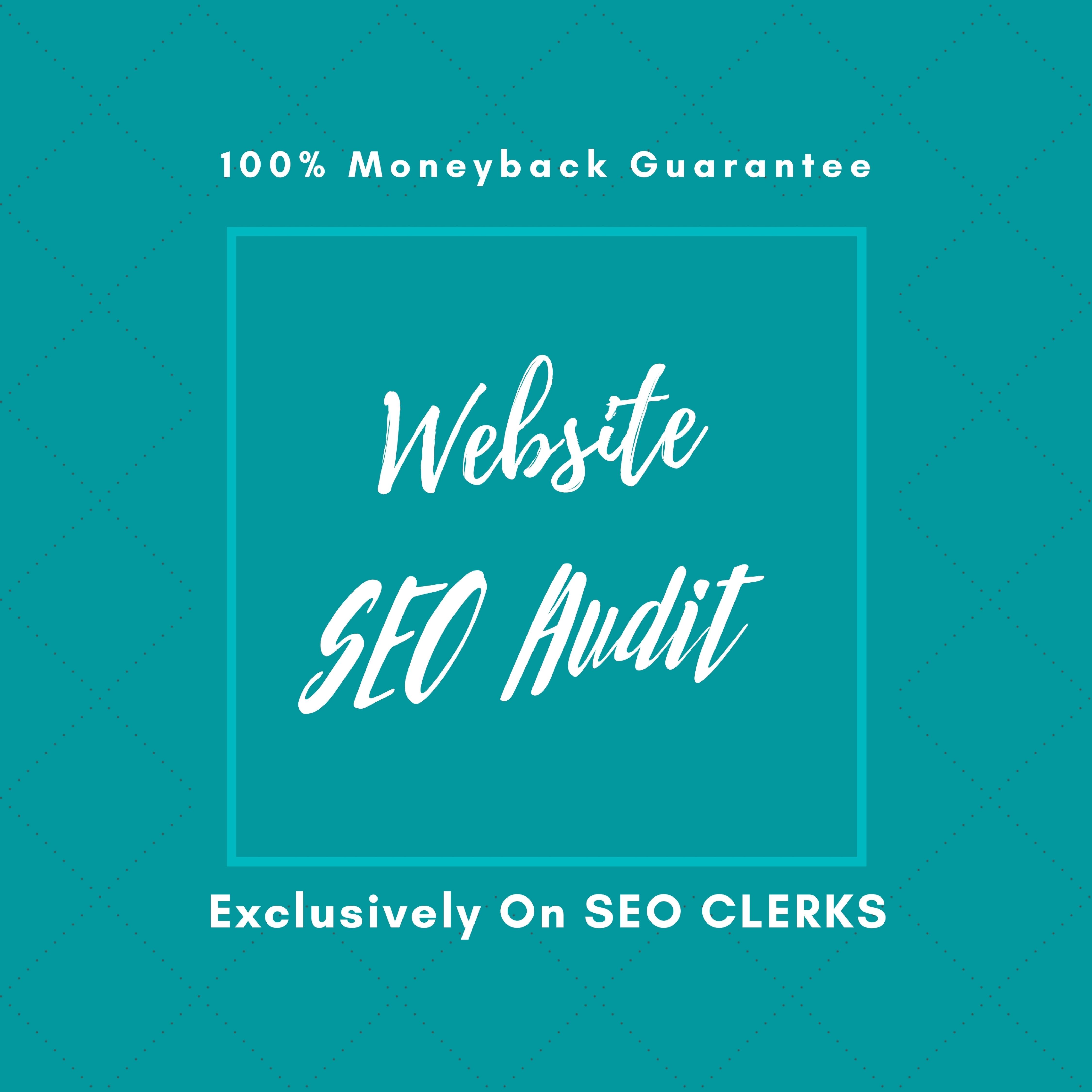 I will do website seo audit and professional website audit for you