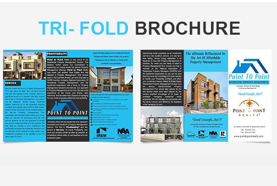 I will design any flyer, poster, brochure, booklet