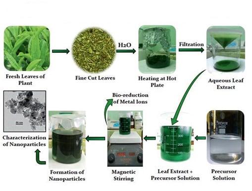 I will draw graphical abstract and do photoshop work