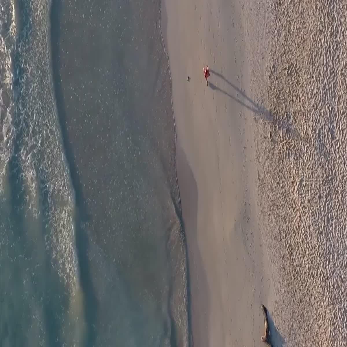 I will create a converting short video advert for social media