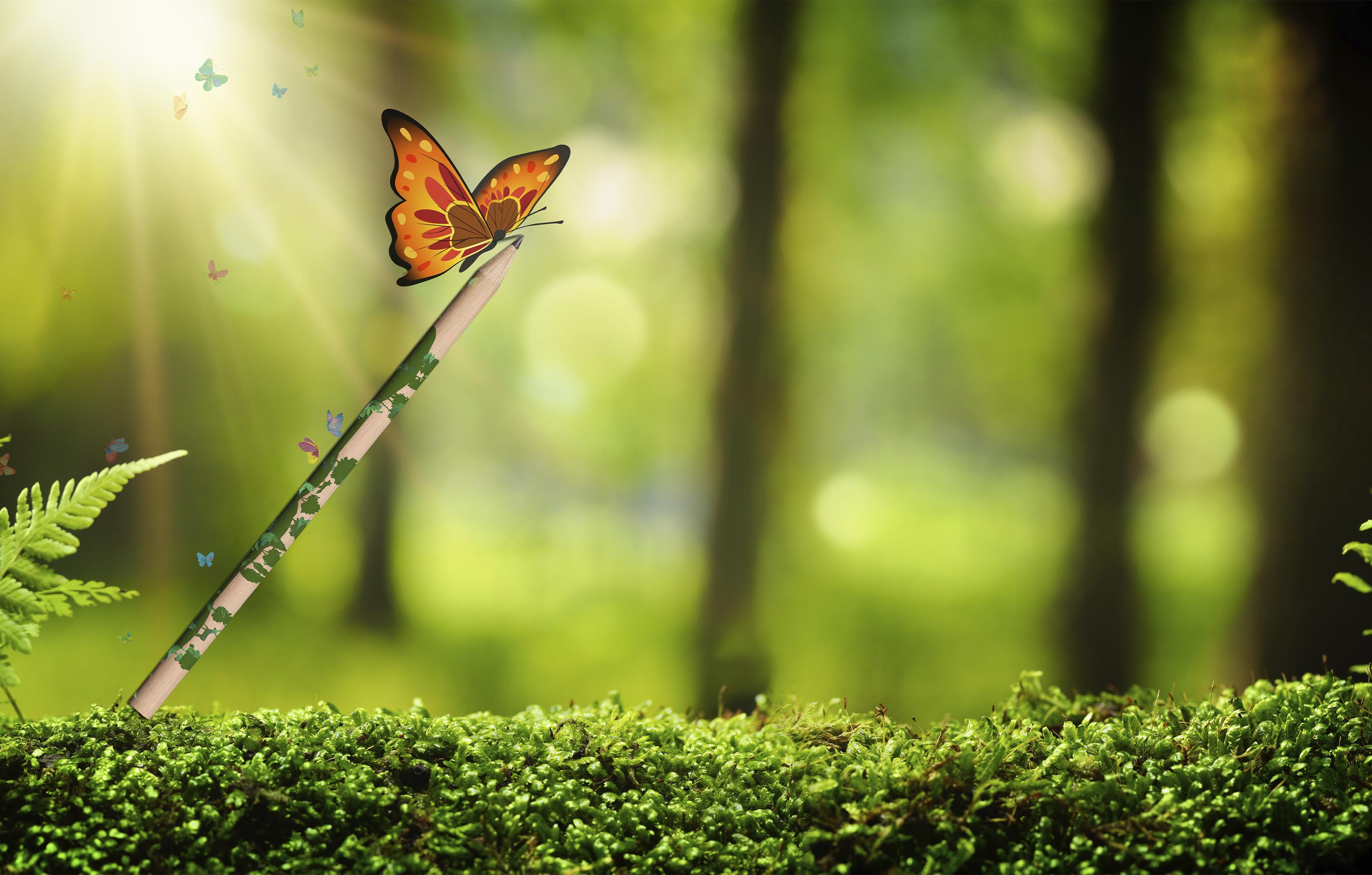 I will do anything graphic design related work