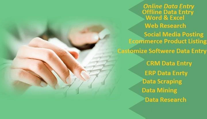 I will do Data Entry, Internet Research, Data Analysis, Copy Paste and Finding data from Website