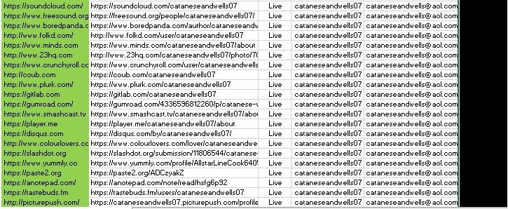 I will Create 50 High Quality Profile Backlinks for SEO