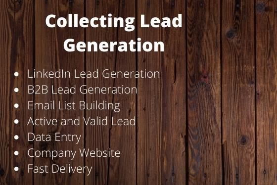 I will provide linkedin lead generation and b2b lead generation