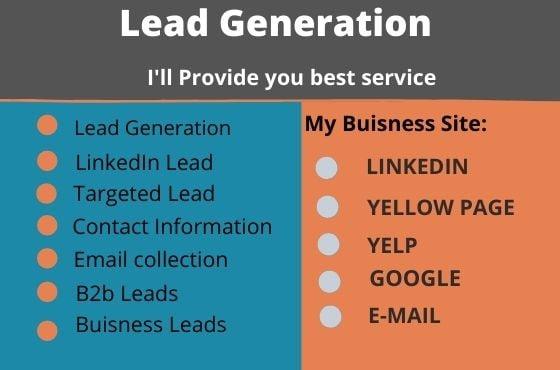 I will provide you targeted lead generation and b2b lead