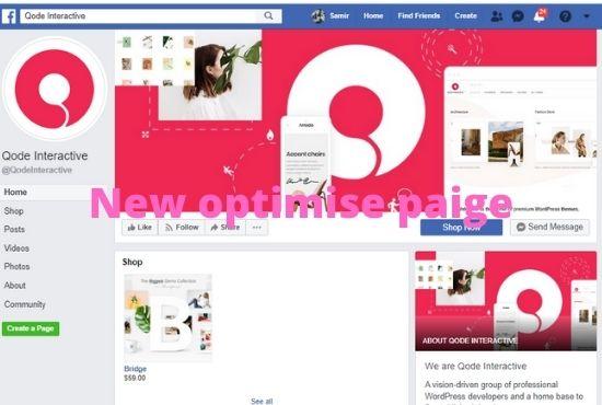 I will be your virtual assistant for professional and personal works