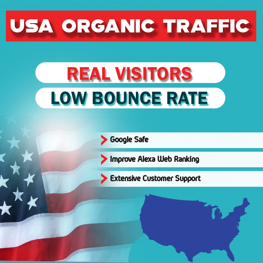 I will provide USA real traffic 1000 vistors 