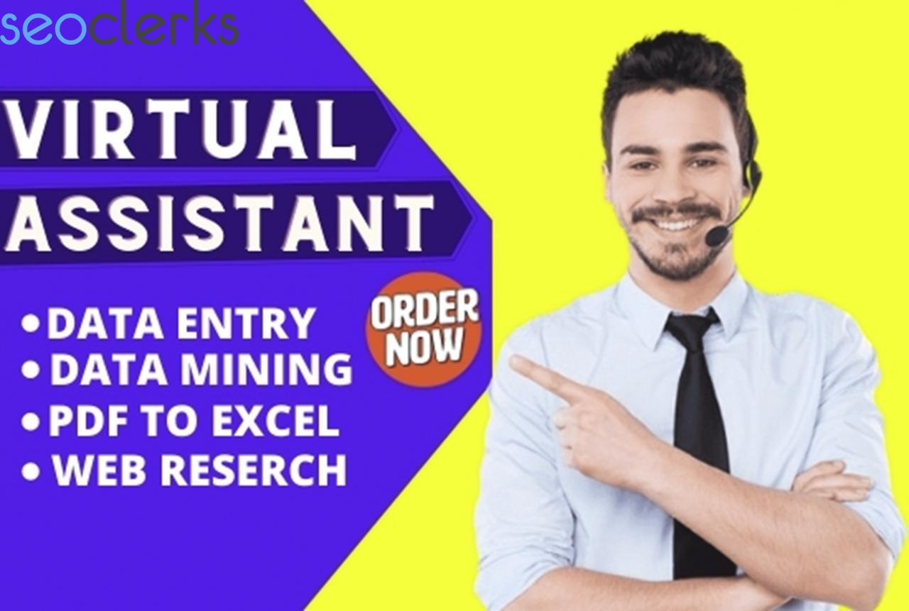 I will be your virtual assistant and do data entry, web research for 3 hours