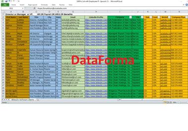 I will provide b2b lead generation web scraping with the email list