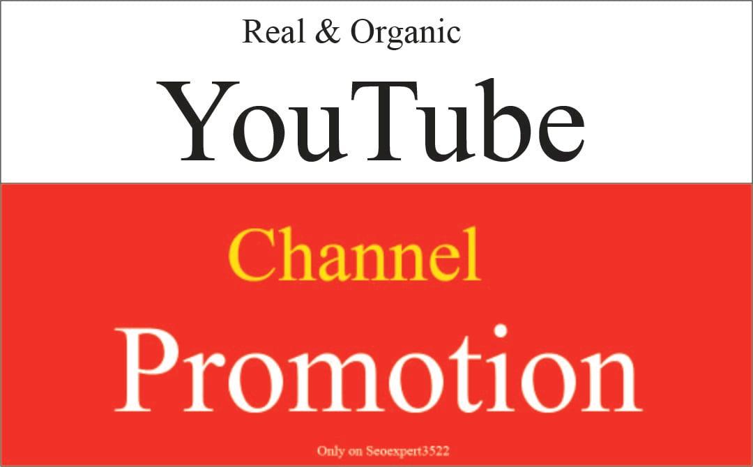 I will do super fast organic youtube vidoe promotion by social media marketing