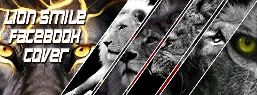 I will 3 create an amazing Facebook cover page