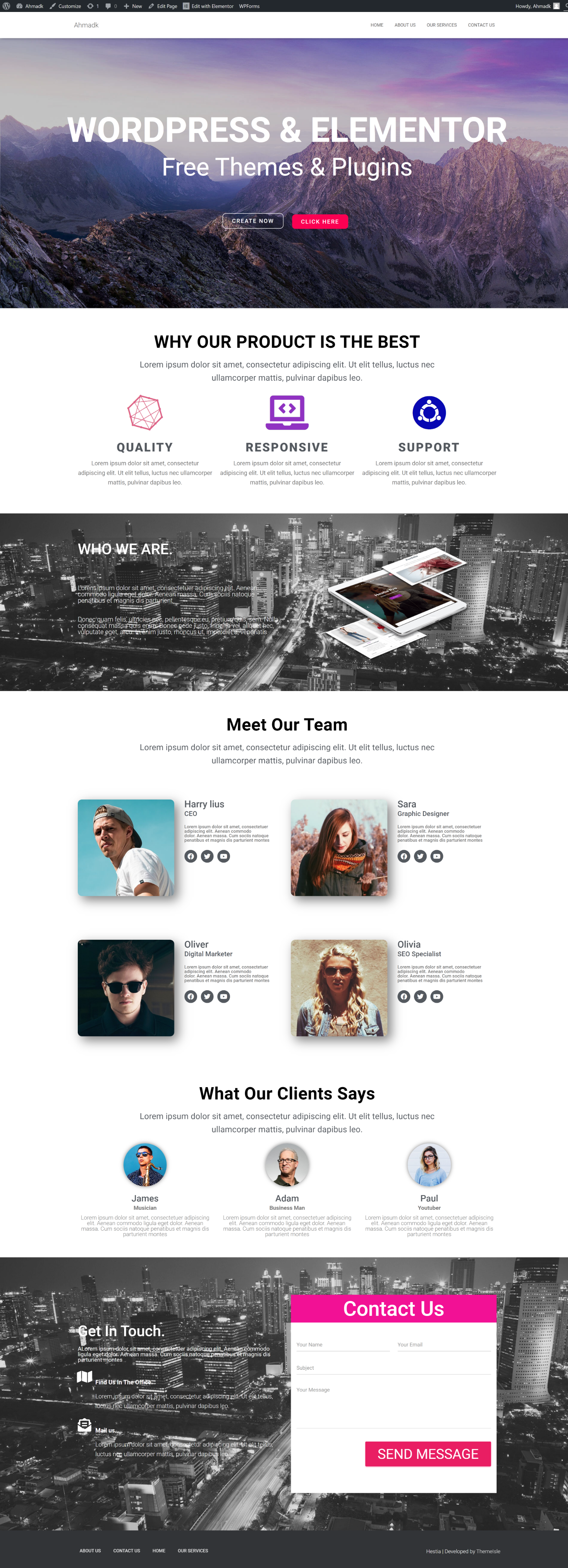 I will create a professional eye catching WordPress site with elementor
