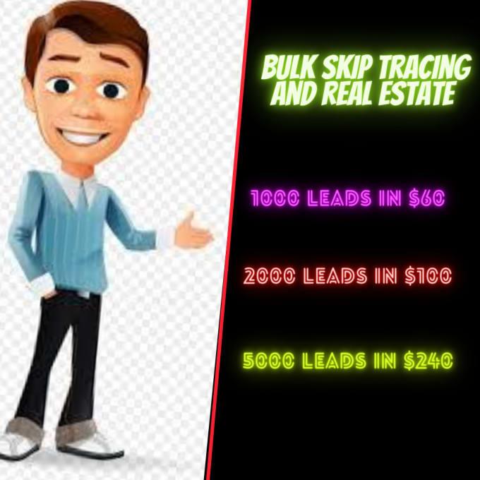 I will do bulk skip tracing for real estate leads, email address