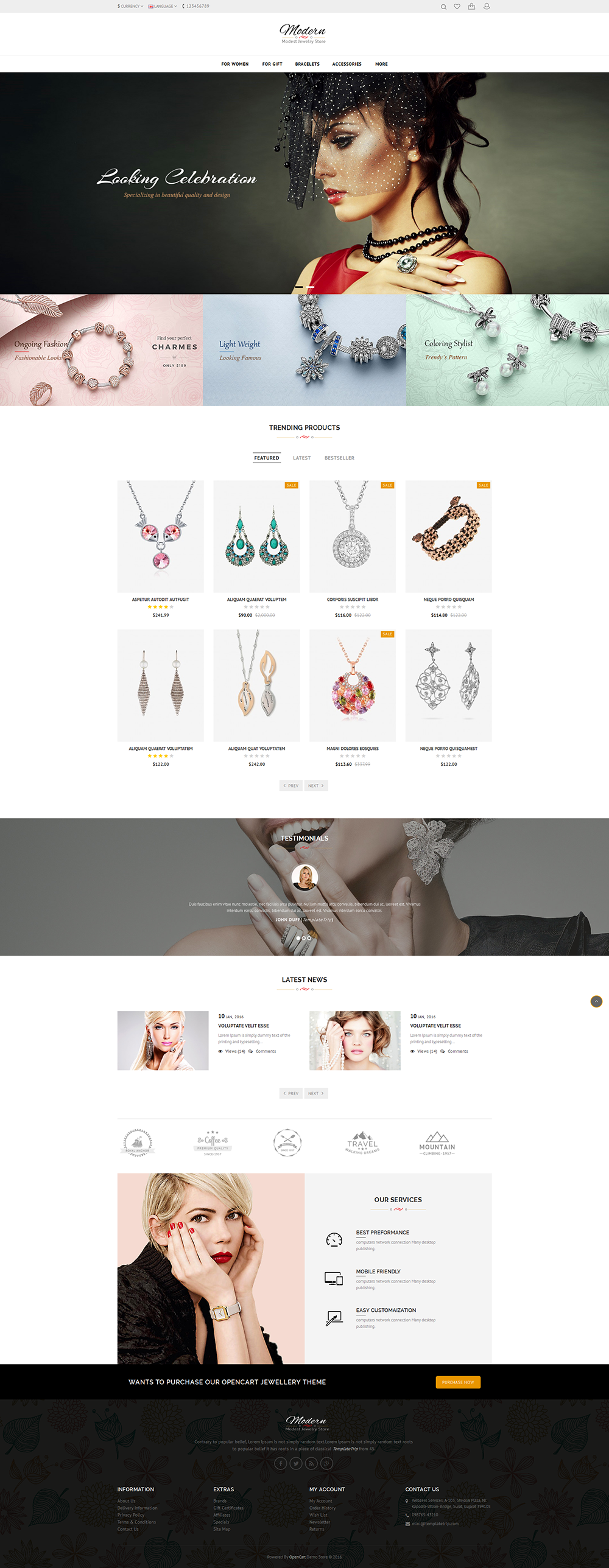 I will design your word press, shopify ,wix website and e-commerce store 