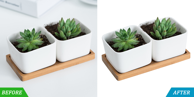 I will provide Creative Graphic Designing and Photoshop Amazon Listing Services