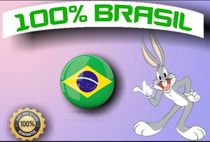 1600 BRAZIL TARGETED traffic to your website or blog-trackable on Google Analytics